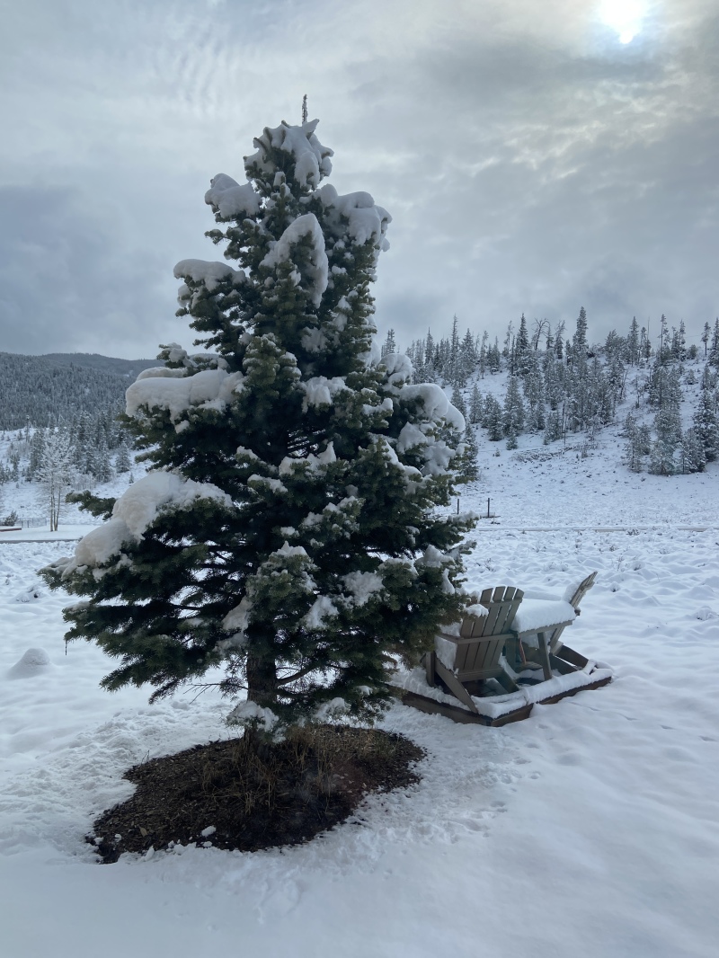 2022/05(May)/Colorado-Moose-Snow/800x600_2022-05-24-Snow-08.JPG