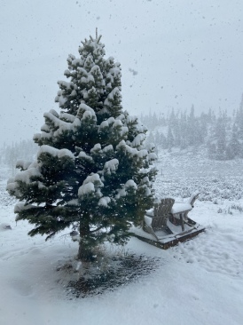 2022-05-20-Snow-02.JPG