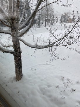2022-05-20-Snow-04.JPG
