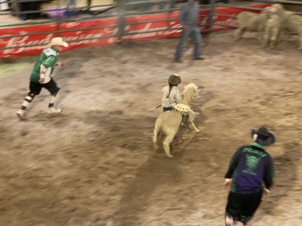 2022/05(May)/VA-SAVD-Sturgis-SD-plus-parents/1024x768_2022-05-14-Sturgis-SD-04-Bull-Riding-Rodeo.JPG