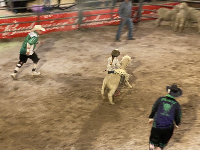 2022/05(May)/VA-SAVD-Sturgis-SD-plus-parents/640x480_2022-05-14-Sturgis-SD-04-Bull-Riding-Rodeo.JPG