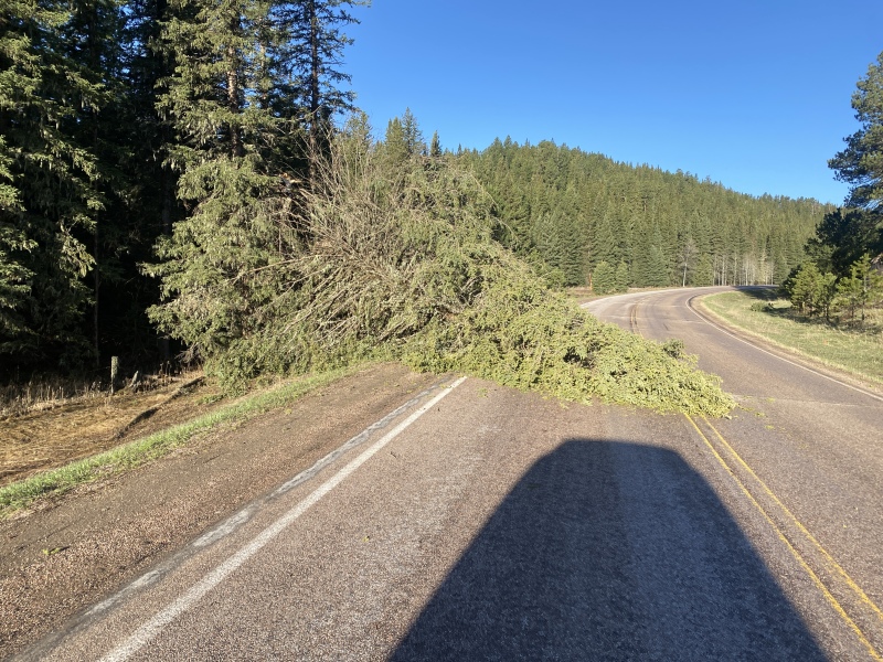 2022/05(May)/VA-SAVD-Sturgis-SD-plus-parents/800x600_2022-05-13-Sturgis-SD-02-Downed-Tree.JPG