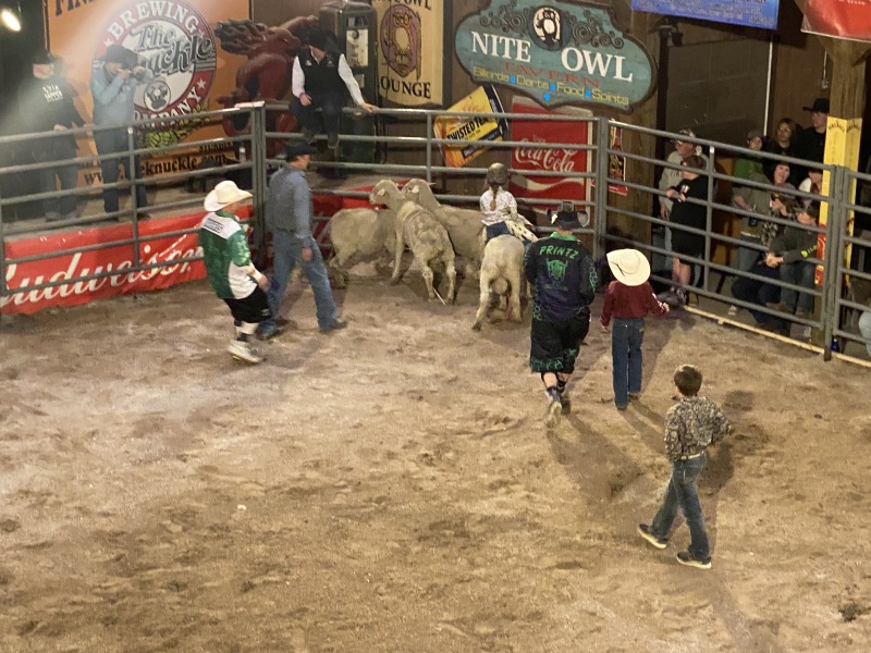 2022/05(May)/VA-SAVD-Sturgis-SD-plus-parents/800x600_2022-05-14-Sturgis-SD-07-Bull-Riding-Rodeo.JPG