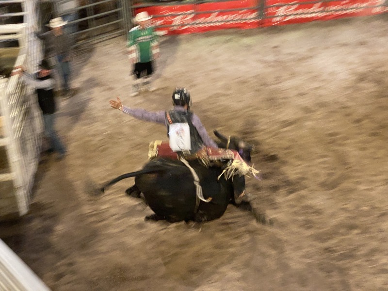 2022/05(May)/VA-SAVD-Sturgis-SD-plus-parents/800x600_2022-05-14-Sturgis-SD-09-Bull-Riding-Rodeo.JPG