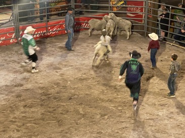2022-05-14-Sturgis-SD-05-Bull-Riding-Rodeo.JPG