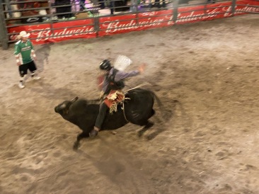 2022-05-14-Sturgis-SD-10-Bull-Riding-Rodeo.JPG