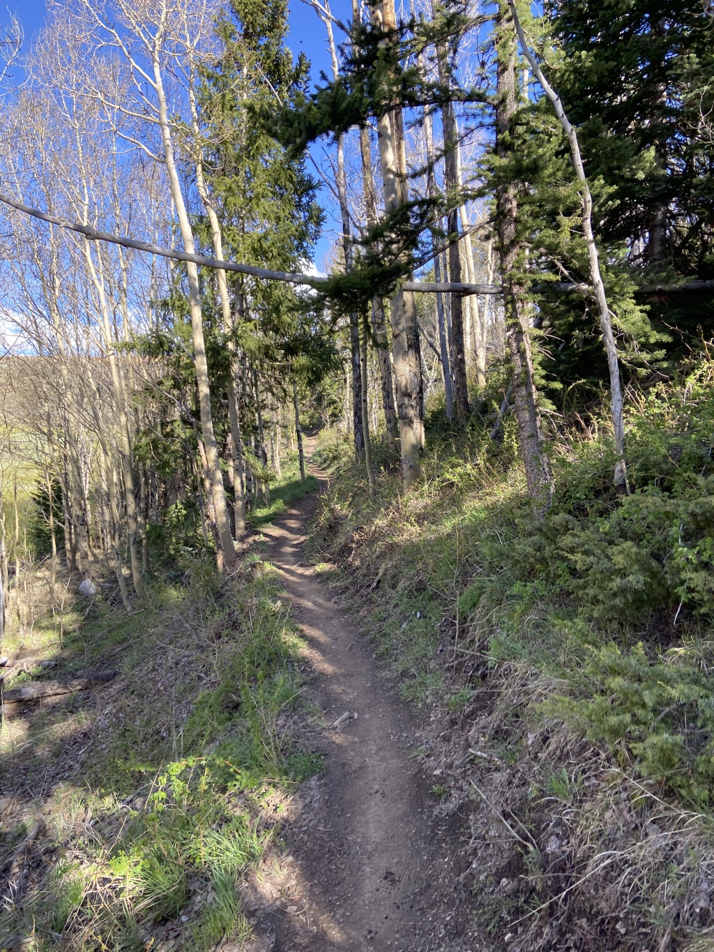 2022/06(June)/Colorado-Chance-Dax-Aditi-Chance/1024x768_2022-06-01-Colorado-005-Suzi-Trailrun.JPG