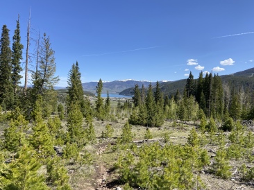 2022-06-04-Colorado-013.JPG