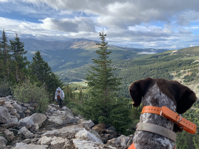 2022/06(June)/Quandry-Peak-14er-Chance-Travis/2022-06-19-Quandry-Peak-01-Travis-Blaze.jpg