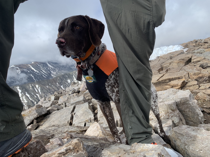 2022-06-19-Quandry-Peak-25-Blaze.jpg