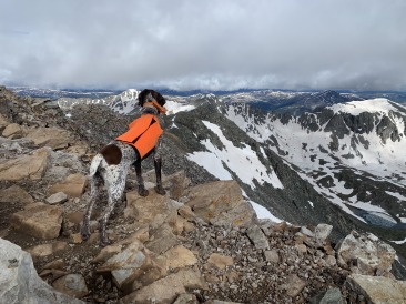 2022-06-19-Quandry-Peak-24-Blaze.jpg