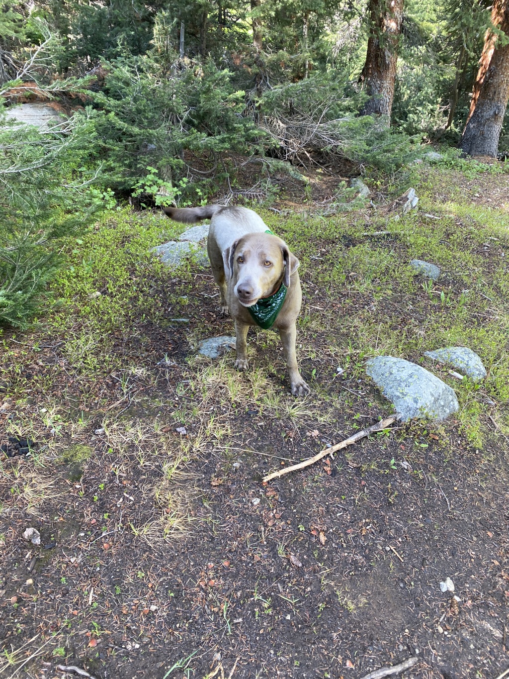 2022-07-02-Chihuahua-Gultch-Hike-27-Cabin.JPG