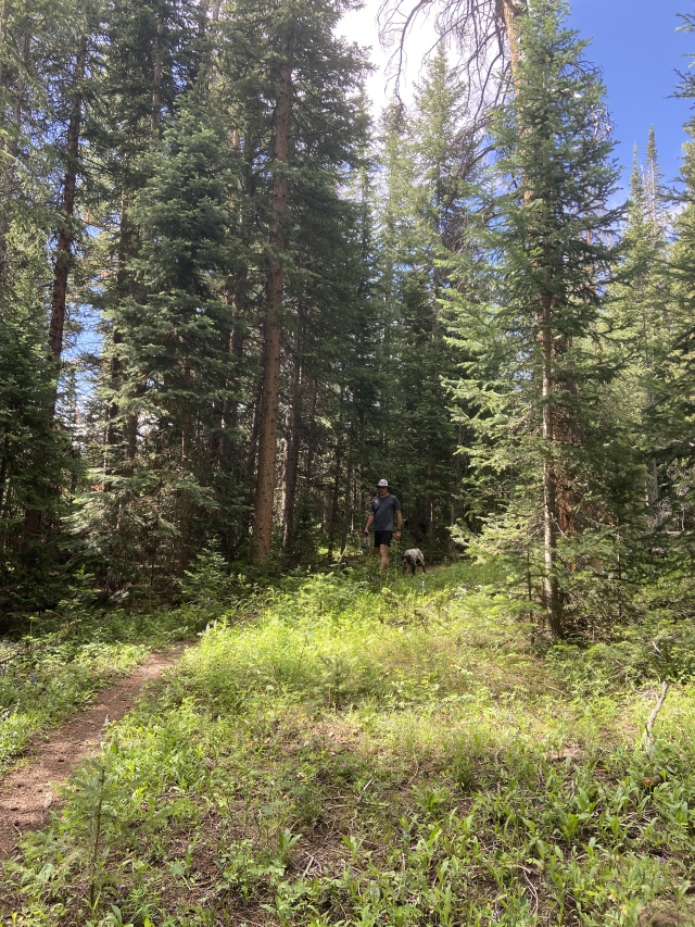 2022/07(July)/Colorado-Mark-Diane/640x480_2022-07-10-Colorado-hiking-03.JPG