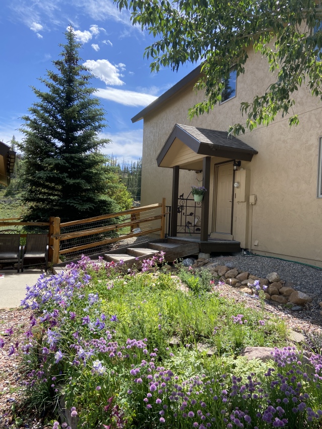 2022-07-10-Colorado-house-flowers-02.JPG