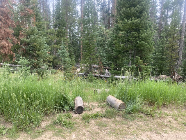 2022-07-14-Colorado-06-Trail-from-jeep-road.JPG