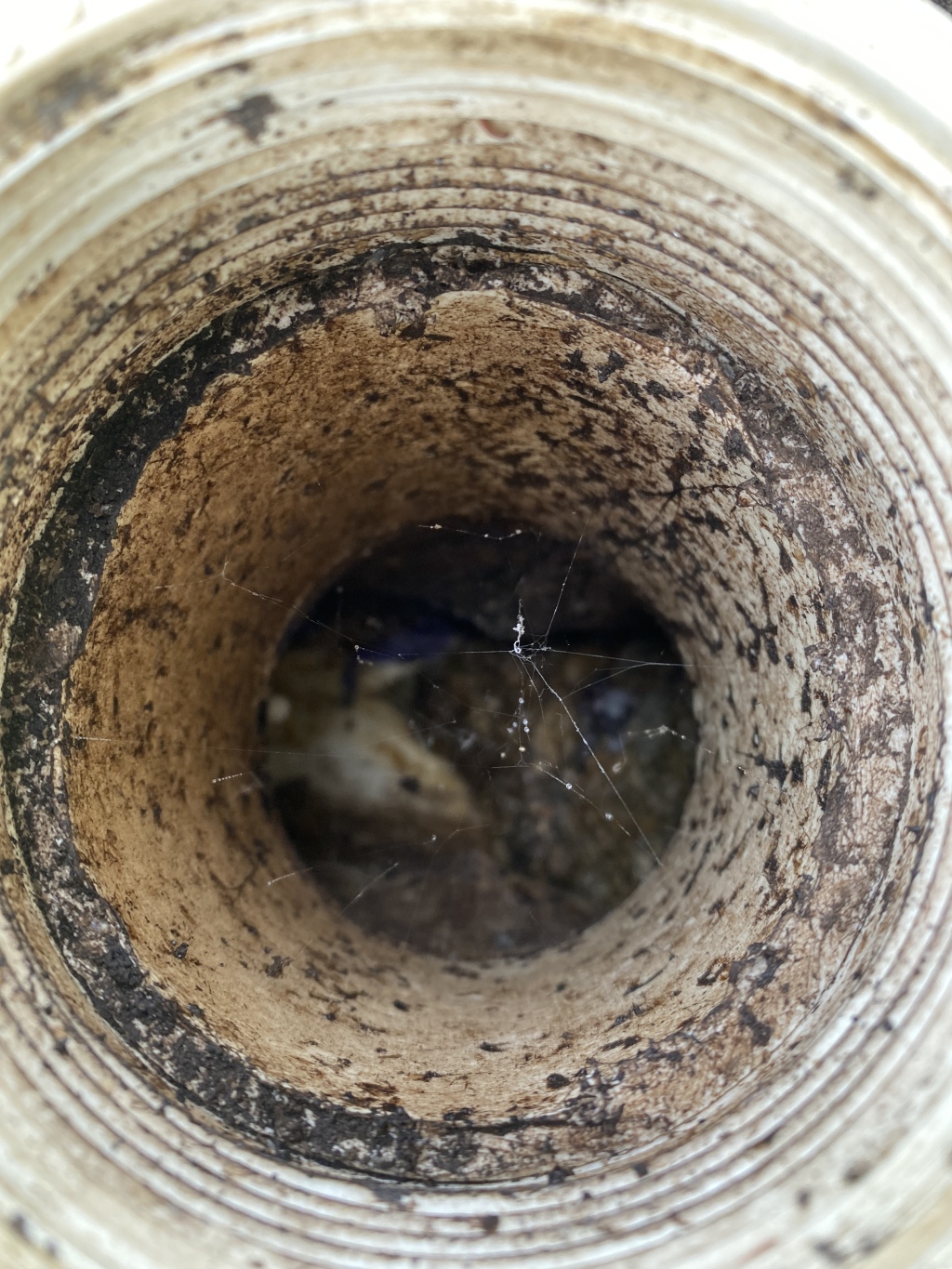 2022-09-17-Hutto-Broken-Sewer-line-05.JPG