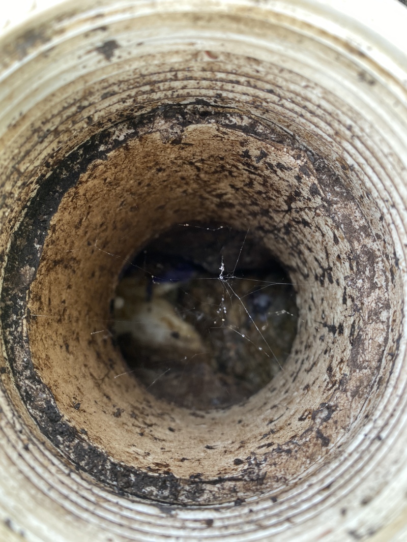 2022-09-17-Hutto-Broken-Sewer-line-05.JPG