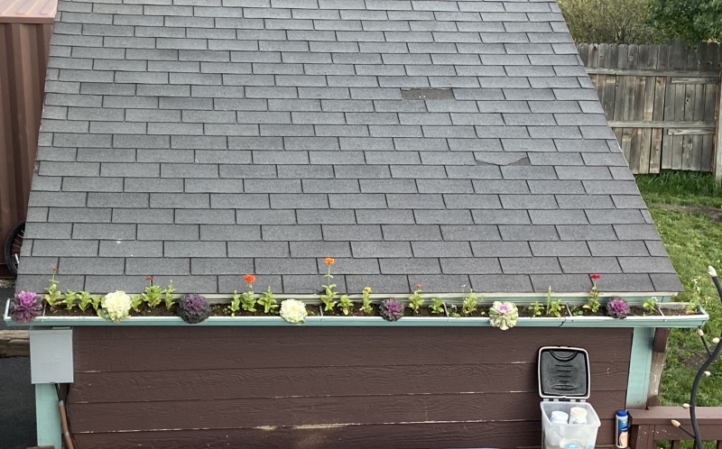 2022/09(September)/Colorado/800x600_2022-09-05-Colorado-08-gutter-flowerbed.JPG