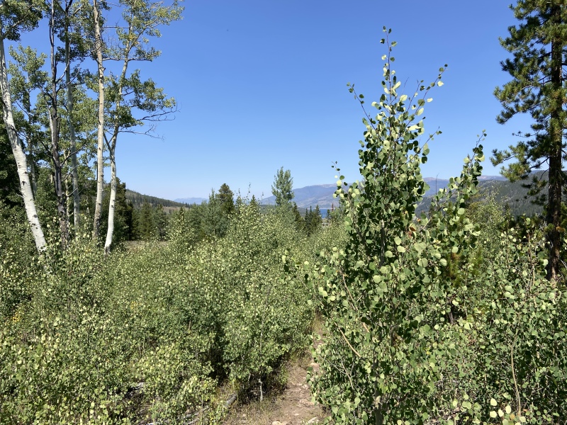 2022/09(September)/Colorado/800x600_2022-09-06-Colorado-03-Last-Hike.JPG