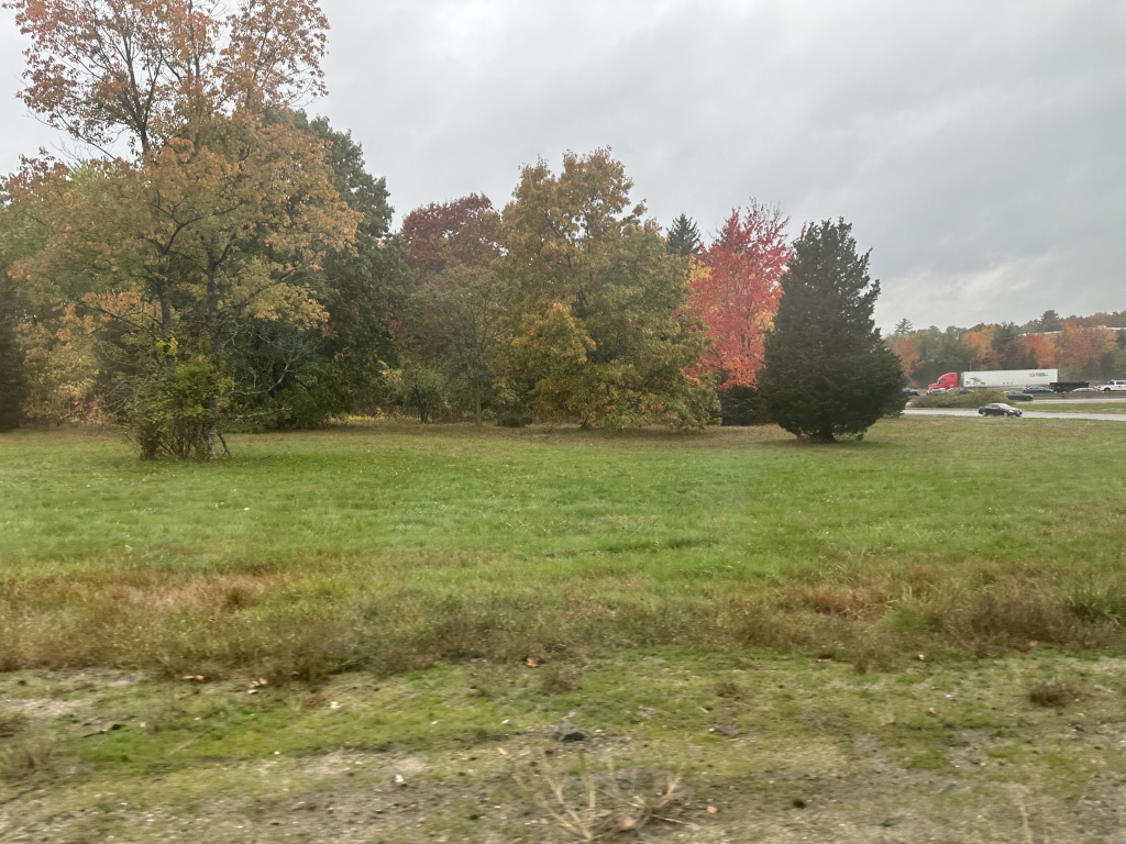 2022/10(October)/VA-SAVD-Bedford-MA/1024x768_2022-10-17-VA-SAVD-Bedford-MA-2-trees.JPG