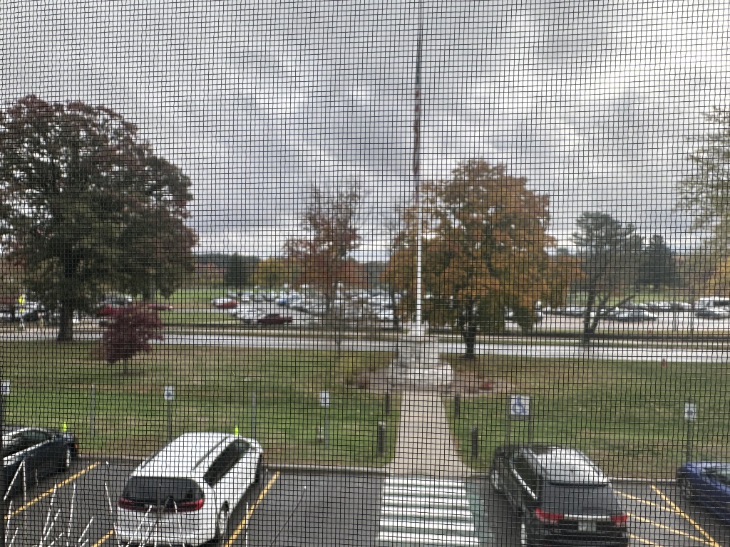 2022-10-18-VA-SAVD-Bedford-MA-4-trees.JPG