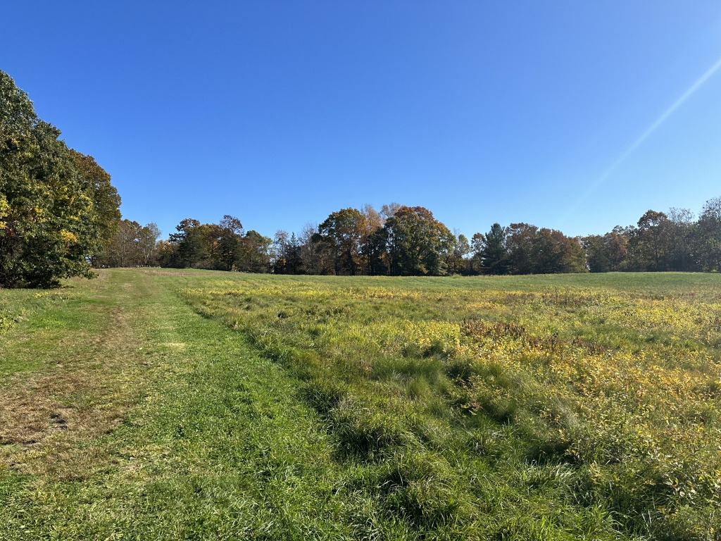 2022-10-20-VA-SAVD-Bedford-MA-7-trees.JPG