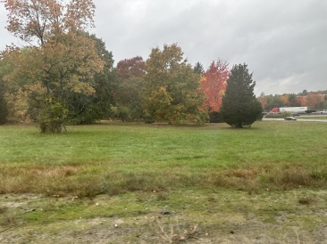 2022-10-17-VA-SAVD-Bedford-MA-2-trees.JPG