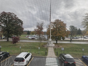 2022-10-18-VA-SAVD-Bedford-MA-4-trees.JPG