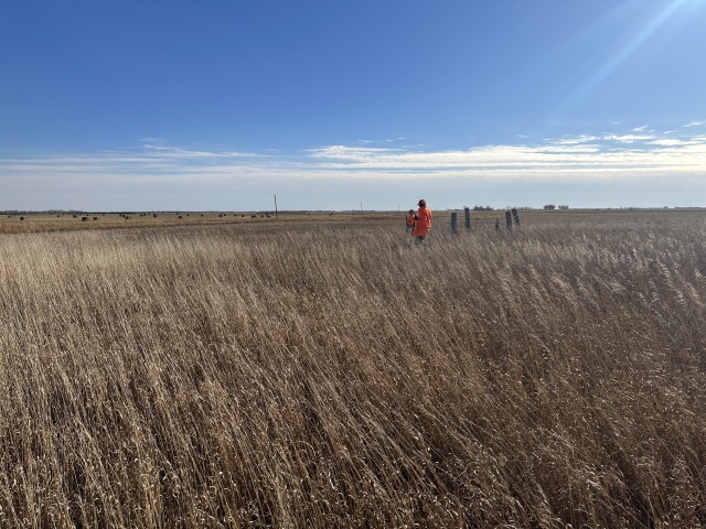 2022/11(November)/Hunting-South-Dakota/640x480_2022-11-06-SouthDakota-Pheasant-Hunting-11-Josh-Mike.JPG
