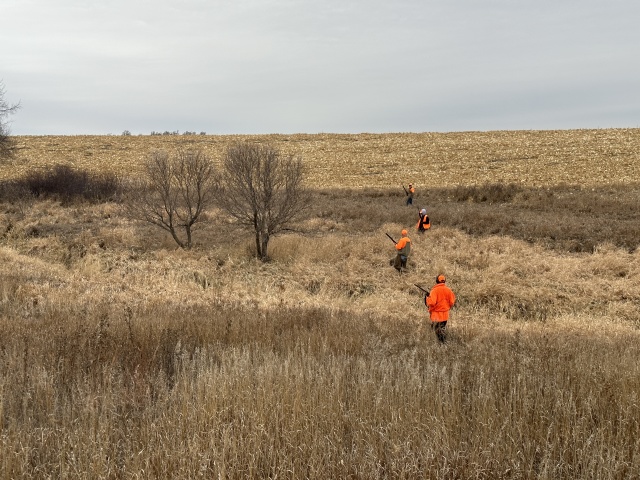 2022/11(November)/Hunting-South-Dakota/640x480_2022-11-08-SouthDakota-Pheasant-Hunting-22-Josh-Mike-Dan-Jace.JPG