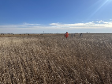 2022-11-06-SouthDakota-Pheasant-Hunting-11-Josh-Mike.JPG