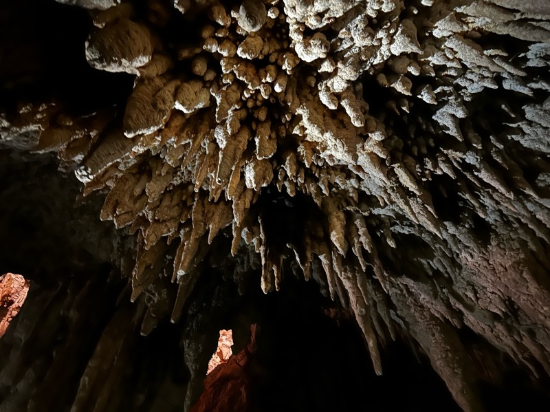 2022-12-02-Cancun-with-Friends-142-Cenotes.jpg