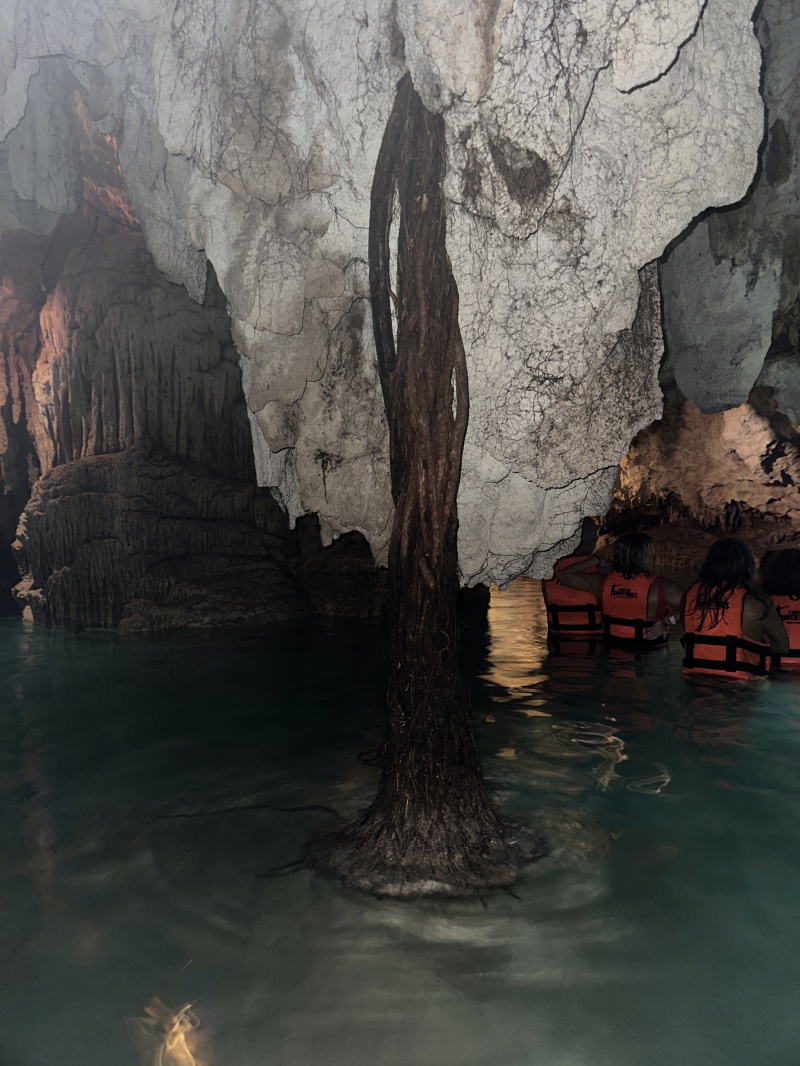 2022/12(December)/Cancun-Mexico/800x600_2022-12-02-Cancun-with-Friends-88-Cenotes-roots.JPG