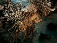 2022-12-02-Cancun-with-Friends-141-Cenotes.jpg