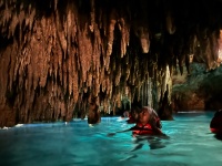 2022-12-02-Cancun-with-Friends-143-Cenotes-Kavita.jpg