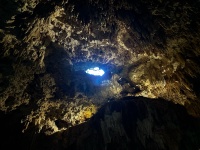 2022-12-02-Cancun-with-Friends-144-Cenotes.jpg