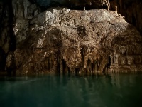 2022-12-02-Cancun-with-Friends-146-Cenotes.jpg