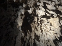 2022-12-02-Cancun-with-Friends-75-Cenotes.JPG