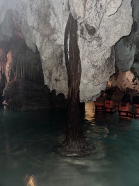 2022-12-02-Cancun-with-Friends-88-Cenotes-roots.JPG
