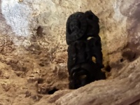2022-12-02-Cancun-with-Friends-95-Cenotes.JPG