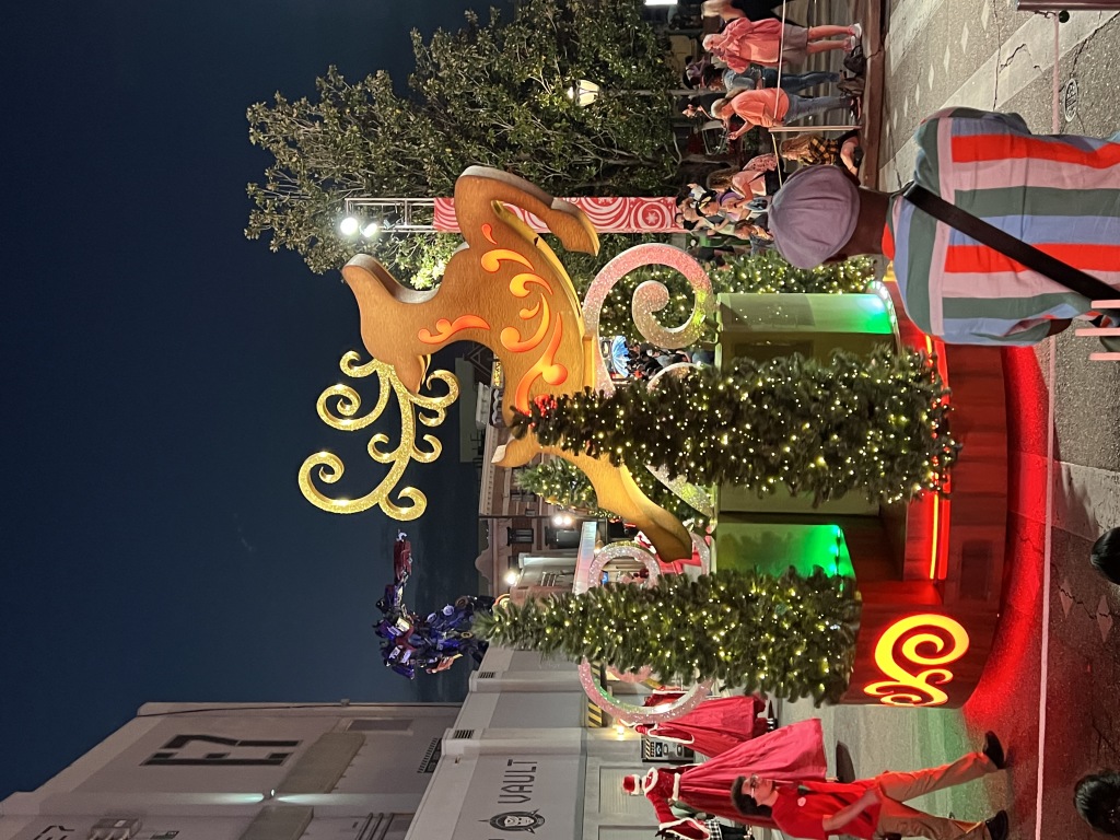 2022/12(December)/Disney-with-Dax-Aditi/1024x768_2022-12-14-Disney-25.JPG