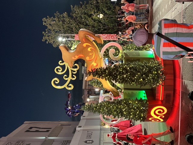 2022/12(December)/Disney-with-Dax-Aditi/640x480_2022-12-14-Disney-25.JPG