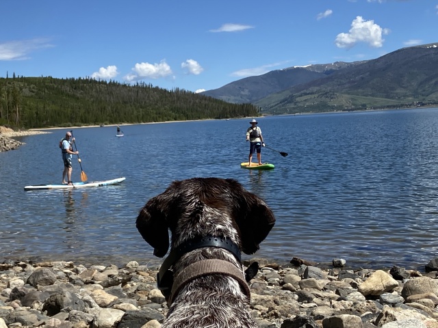 2022-07-03-Colorado-SUP-23-Mike-Graciela-Blaze-Travis-GOOD.JPG