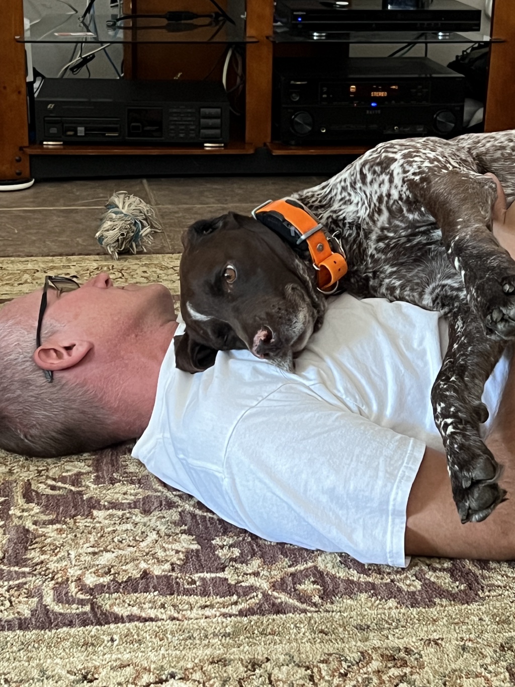 2023/01(January)/Blaze/1024x768_2023-10-22-19-Blaze-Travis.JPG