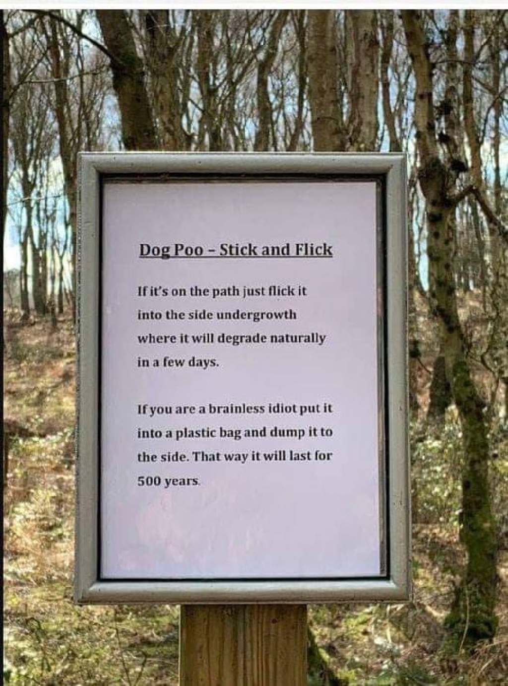 2023/01(January)/Memes/1024x768_Dog-Poo-Stick-n-Flick.JPG