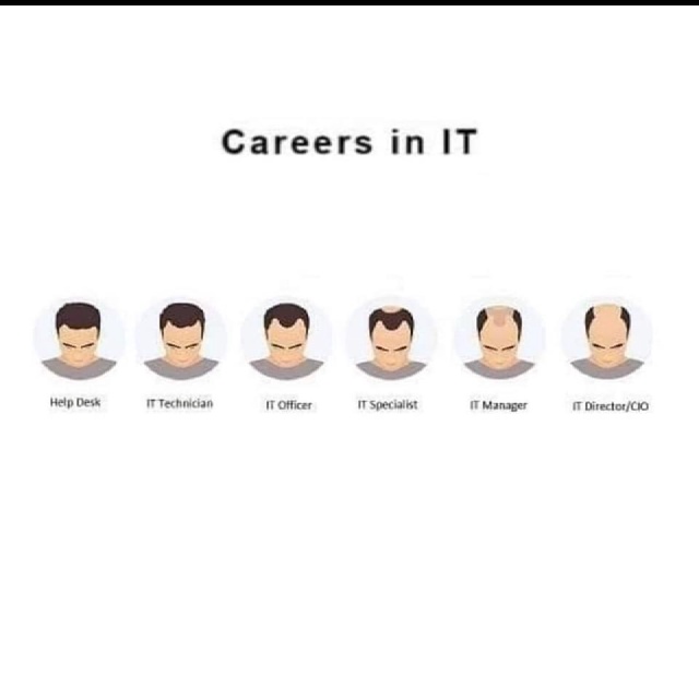 2023/01(January)/Memes/640x480_Careers-in-IT.JPG