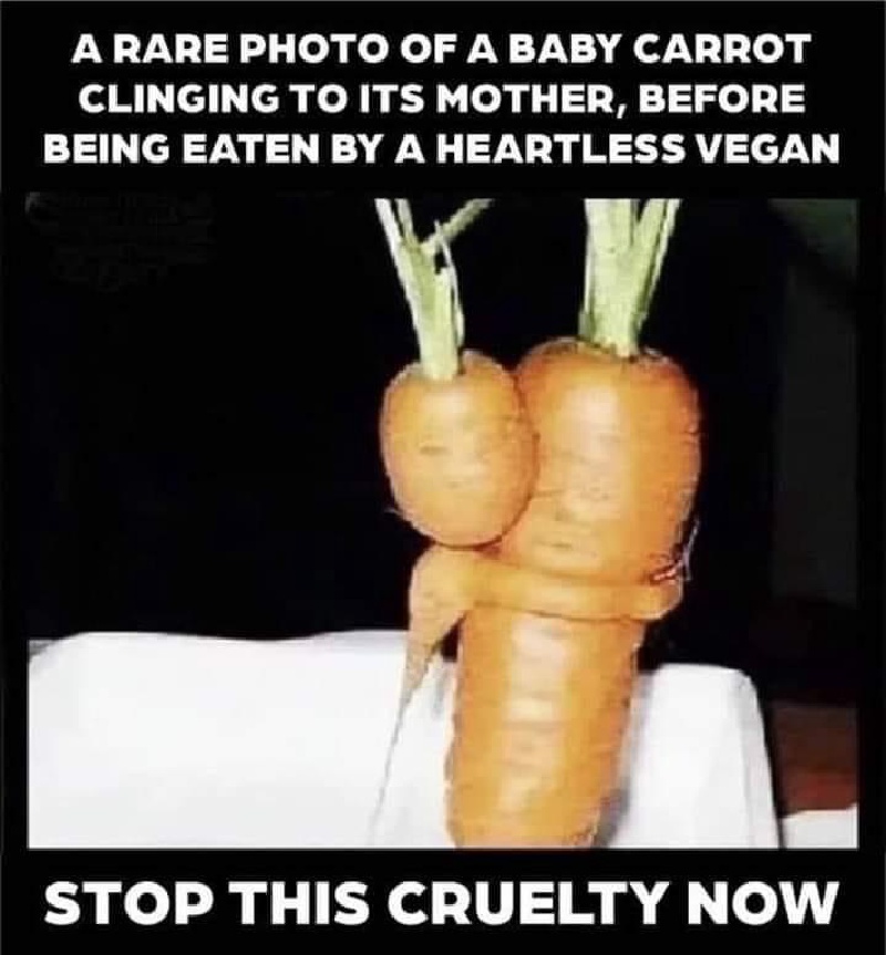 2023/01(January)/Memes/800x600_Baby-Carrot.JPG