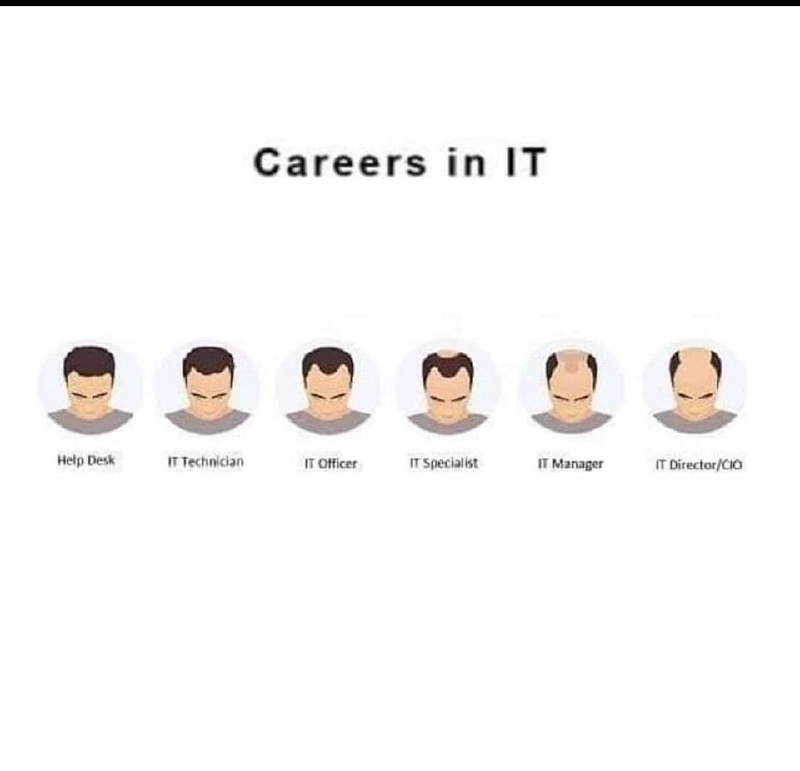 2023/01(January)/Memes/800x600_Careers-in-IT.JPG