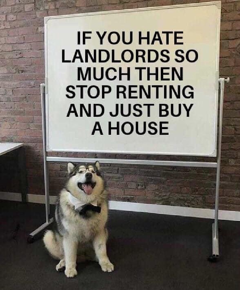 2023/01(January)/Memes/800x600_Landlords.JPG