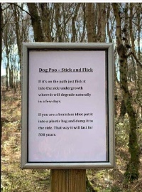 Dog-Poo-Stick-n-Flick.JPG